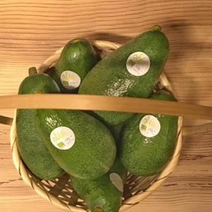 Avocado