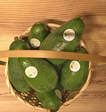 Avocado